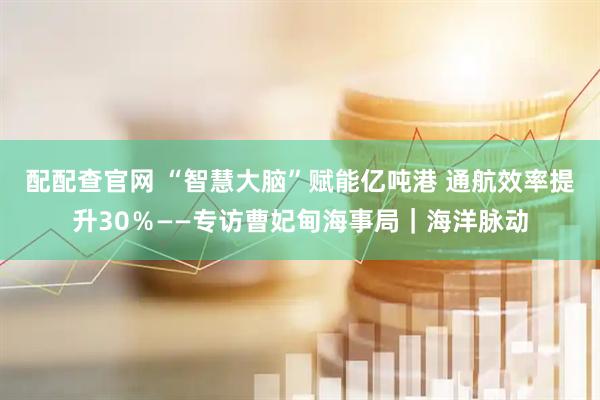 配配查官网 “智慧大脑”赋能亿吨港 通航效率提升30％——专访曹妃甸海事局｜海洋脉动