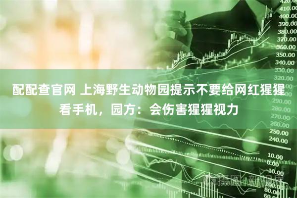 配配查官网 上海野生动物园提示不要给网红猩猩看手机，园方：会伤害猩猩视力