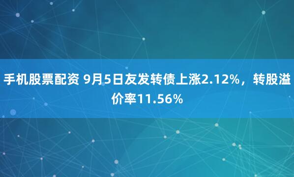手机股票配资 9月5日友发转债上涨2.12%，转股溢价率11.56%