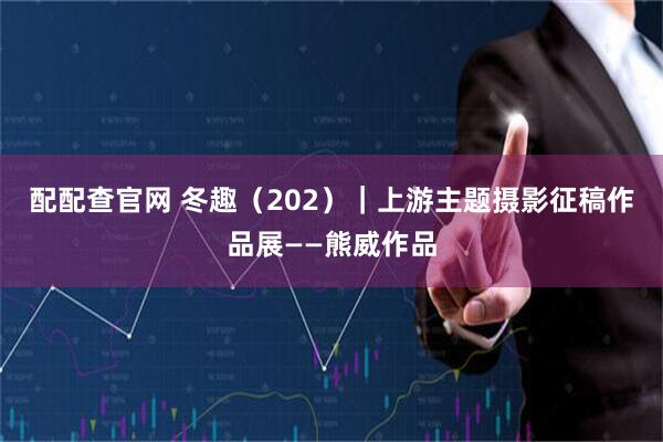 配配查官网 冬趣（202）｜上游主题摄影征稿作品展——熊威作品