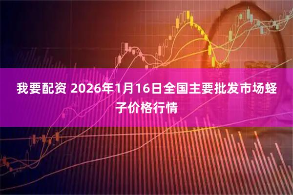 我要配资 2026年1月16日全国主要批发市场蛏子价格行情